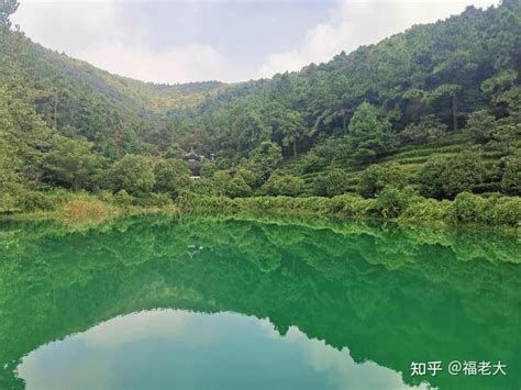 旺山是什么意思|苏州旺山景区：茶香禅韵已传承1000年了